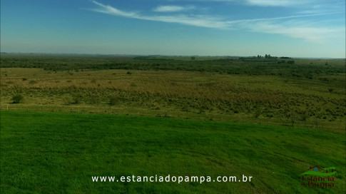 DOS EÓLICOS VIRA P FAZENDA_Moment.00_00_52_10.Quadro553_73d05c1e694abaa773df8e0fc6d5e8f31ce90c88.jpg